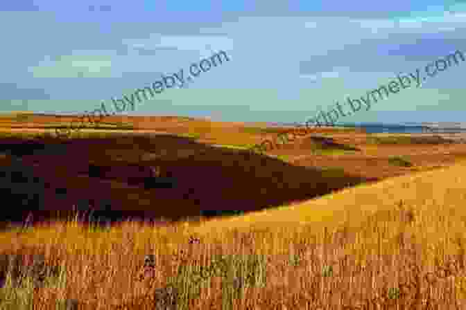 A Photo Of The Great Plains, With A Vast Expanse Of Sky And Rolling Hills. Icing On The Plains: The Rough Ride Of Kansas City S NHL Scouts