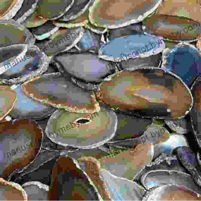 A Polished Agate Slice Showcasing Its Banded Patterns Michigan Rocks Minerals: A Field Guide To The Great Lake State (Rocks Minerals Identification Guides)