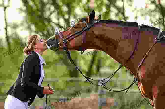 A Rider Communicating Effectively With Their Horse Ride Right With Daniel Stewart: Balance Your Frame And Frame Of Mind With An Unmounted Workout And Sport Psychology System