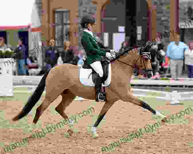 A Rider Competing In An Equestrian Event Ride Right With Daniel Stewart: Balance Your Frame And Frame Of Mind With An Unmounted Workout And Sport Psychology System