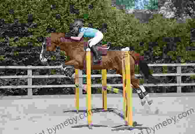 A Rider Successfully Jumping A Fence With Their Horse Ride Right With Daniel Stewart: Balance Your Frame And Frame Of Mind With An Unmounted Workout And Sport Psychology System