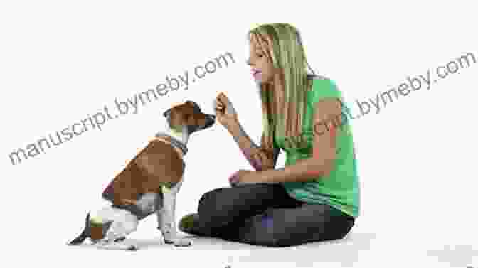 A Woman Giving Her Dog A Treat While It Sits On A Bench How To Be Your Dog S Best Friend: A Training Manual For Dog Owners