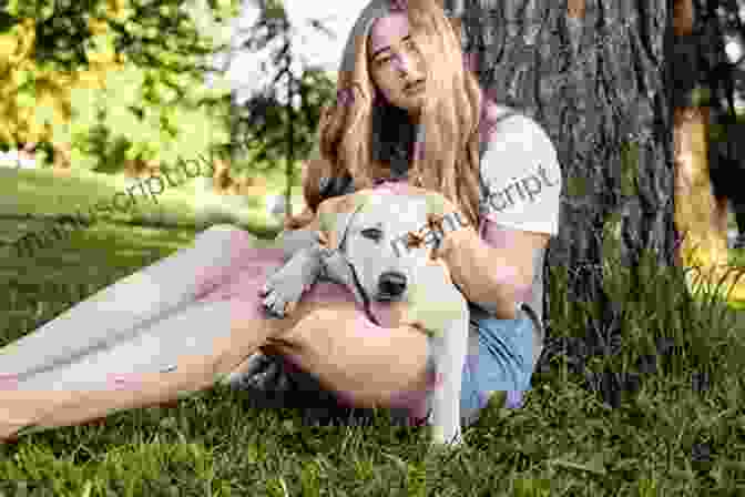 A Woman Playing With Her Dog In The Park How To Be Your Dog S Best Friend: A Training Manual For Dog Owners