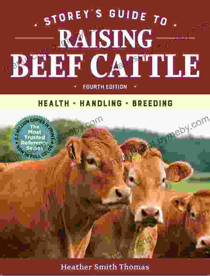 Cover Image Of Storey Guide To Raising Beef Cattle, 4th Edition Storey S Guide To Raising Beef Cattle 4th Edition: Health Handling Breeding (Storey S Guide To Raising)