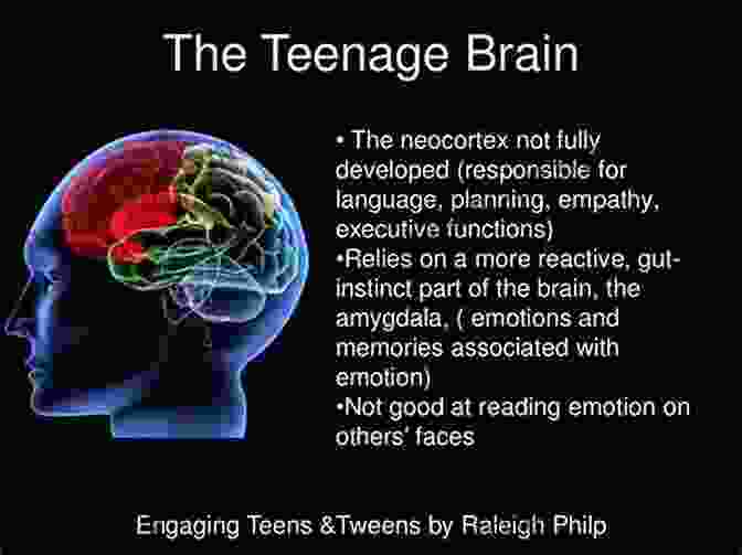 Image Of A Teenage Brain Scan Brainstorm: The Power And Purpose Of The Teenage Brain