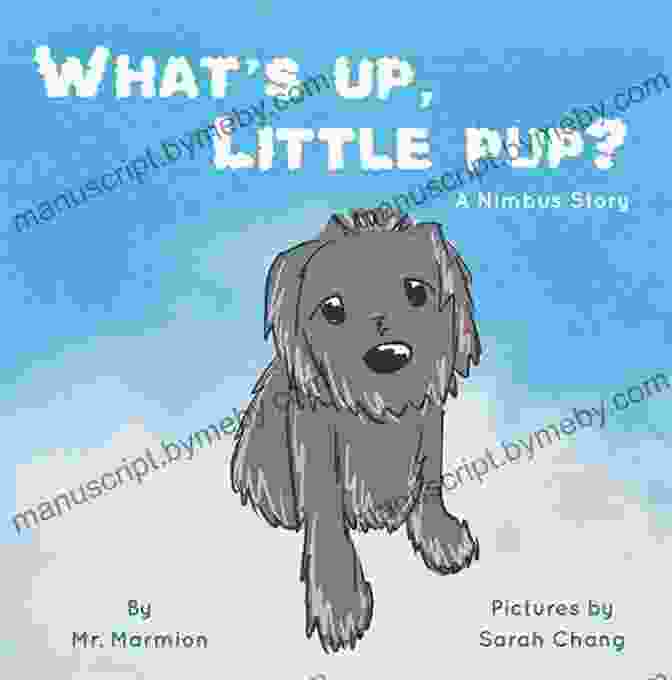 Little Pup And Mr Marmion Playing Fetch In A Field, Their Faces Filled With Joy And Laughter What S Up Little Pup? Mr Marmion