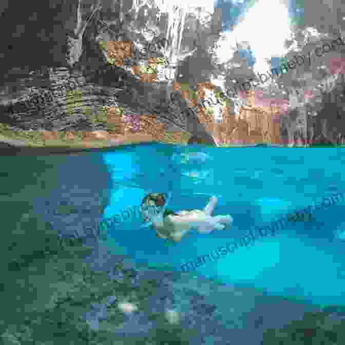 Snorkeling In Thunderball Grotto The Island Hopping Digital Guide To The Exuma Cays Part IV The Southern Exumas