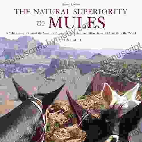 The Natural Superiority Of Mules: A Celebration Of One Of The Most Intelligent Sure Footed And Misunderstood Animals In The World Second Edition