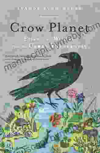 Crow Planet: Essential Wisdom from the Urban Wilderness