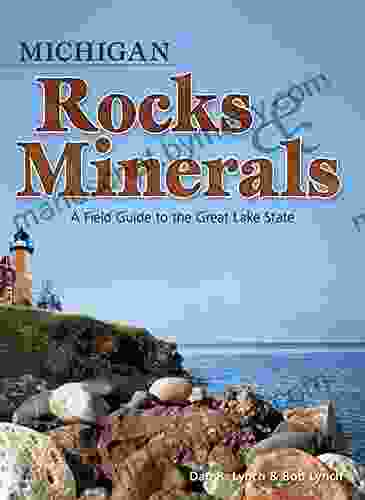 Michigan Rocks Minerals: A Field Guide to the Great Lake State (Rocks Minerals Identification Guides)