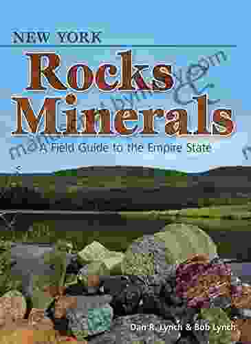 New York Rocks Minerals: A Field Guide To The Empire State (Rocks Minerals Identification Guides)